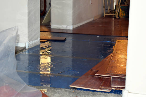Professional Water Damage Restoration technician working in Bryant Pond, ME
